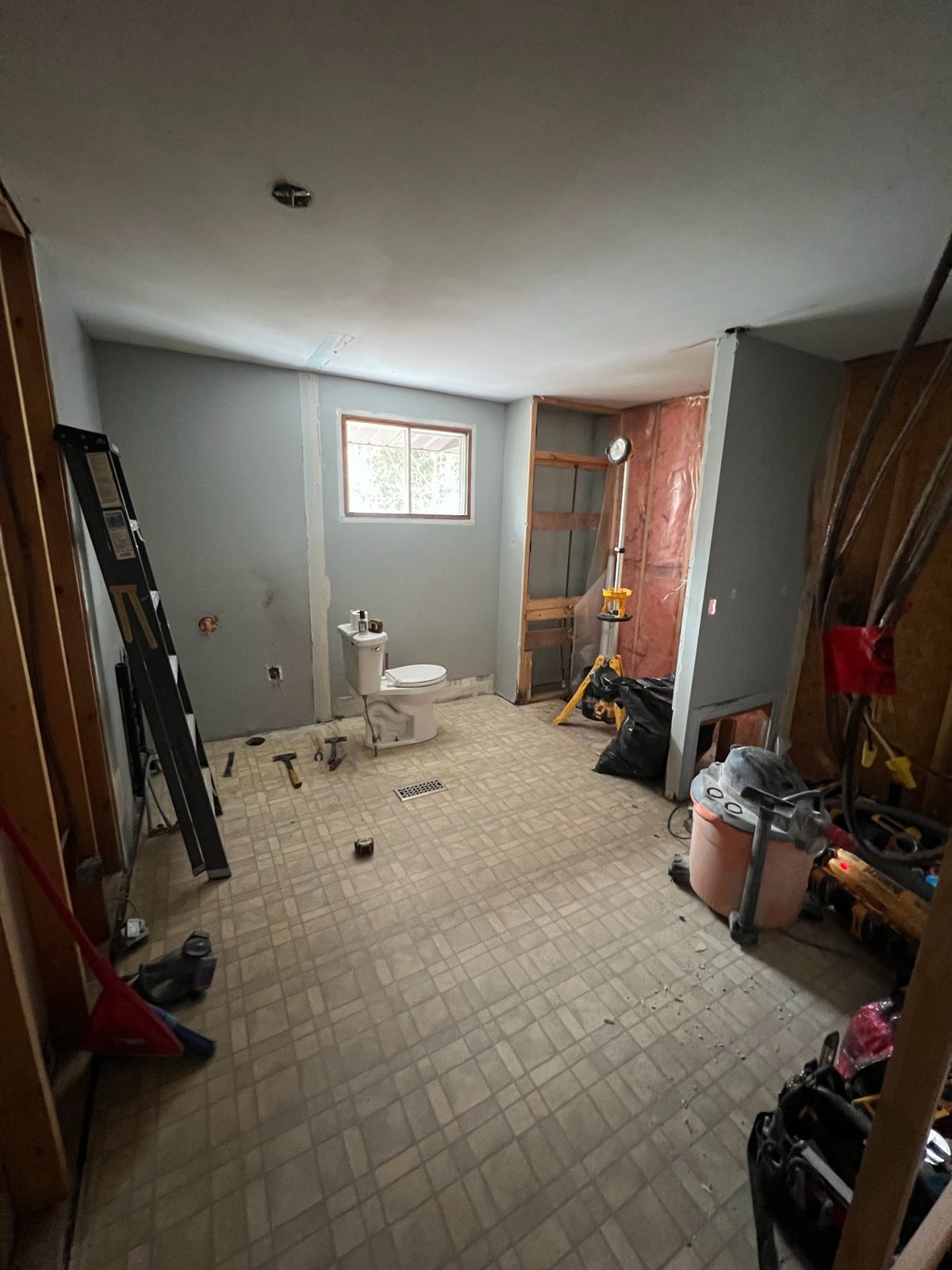 Bathroom gutted during demolition